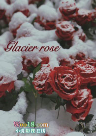 冰川玫瑰（年下男小三）小说封面